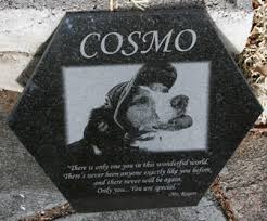 cosomo